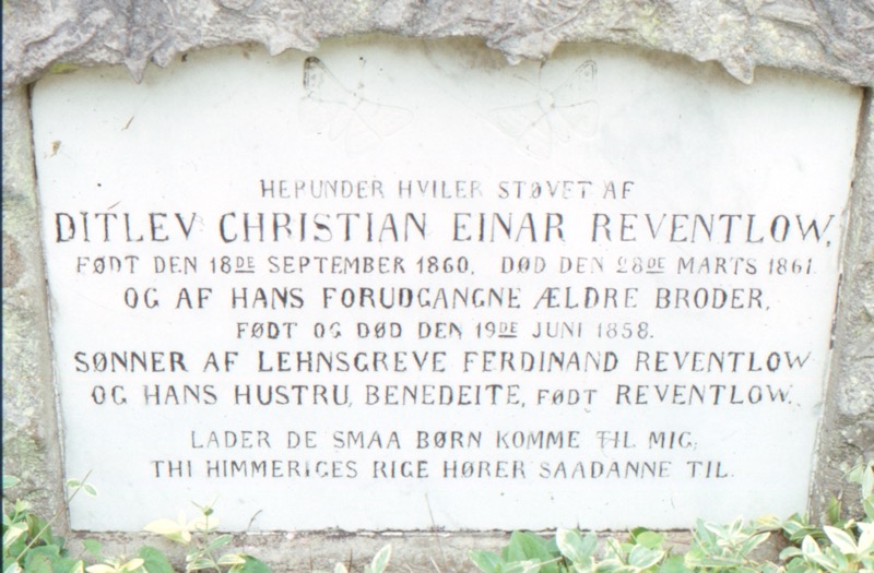 Christian Ditlev Einar Reventlow og hans broder
